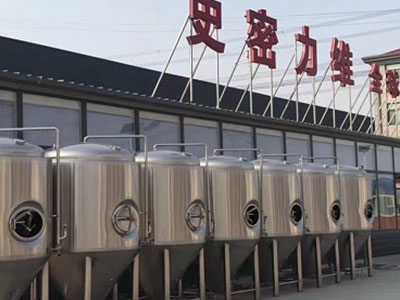 大安精酿啤酒设备厂—市场规模与跨界新需求